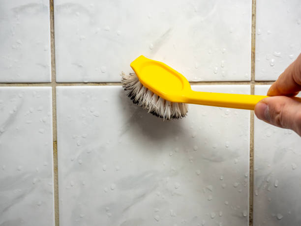 Best DIY Mold Remediation Support Services in Elburn, IL