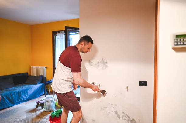 Trusted Elburn, IL Mold Remediation Experts